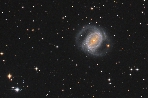 NGC1433